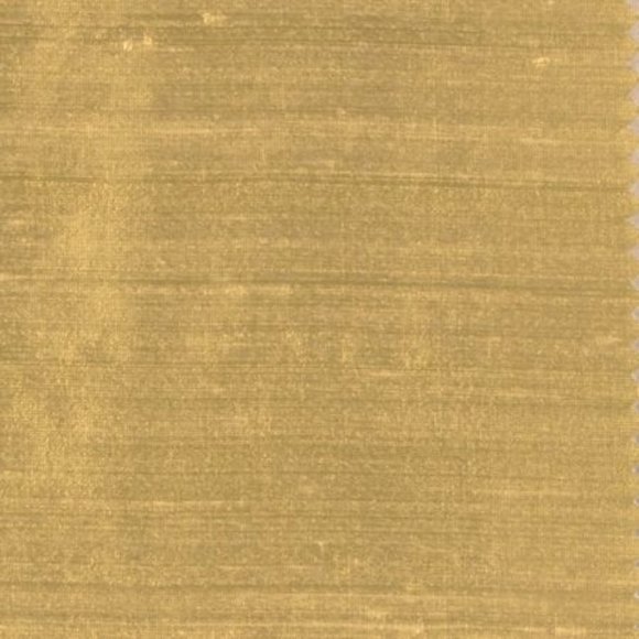 Meet your Posher, Nima - Picture 1 of 2